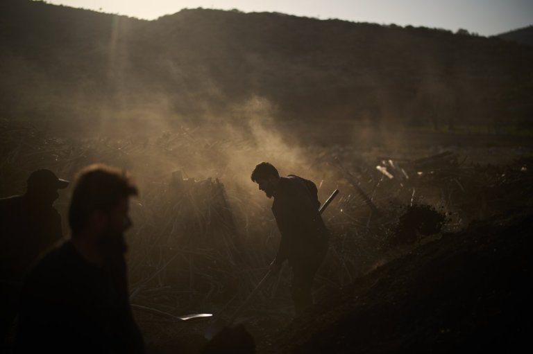 Photos: Charcoal workers in a quiet Kurdish village carry on as war unfolds | iNFOnews.ca