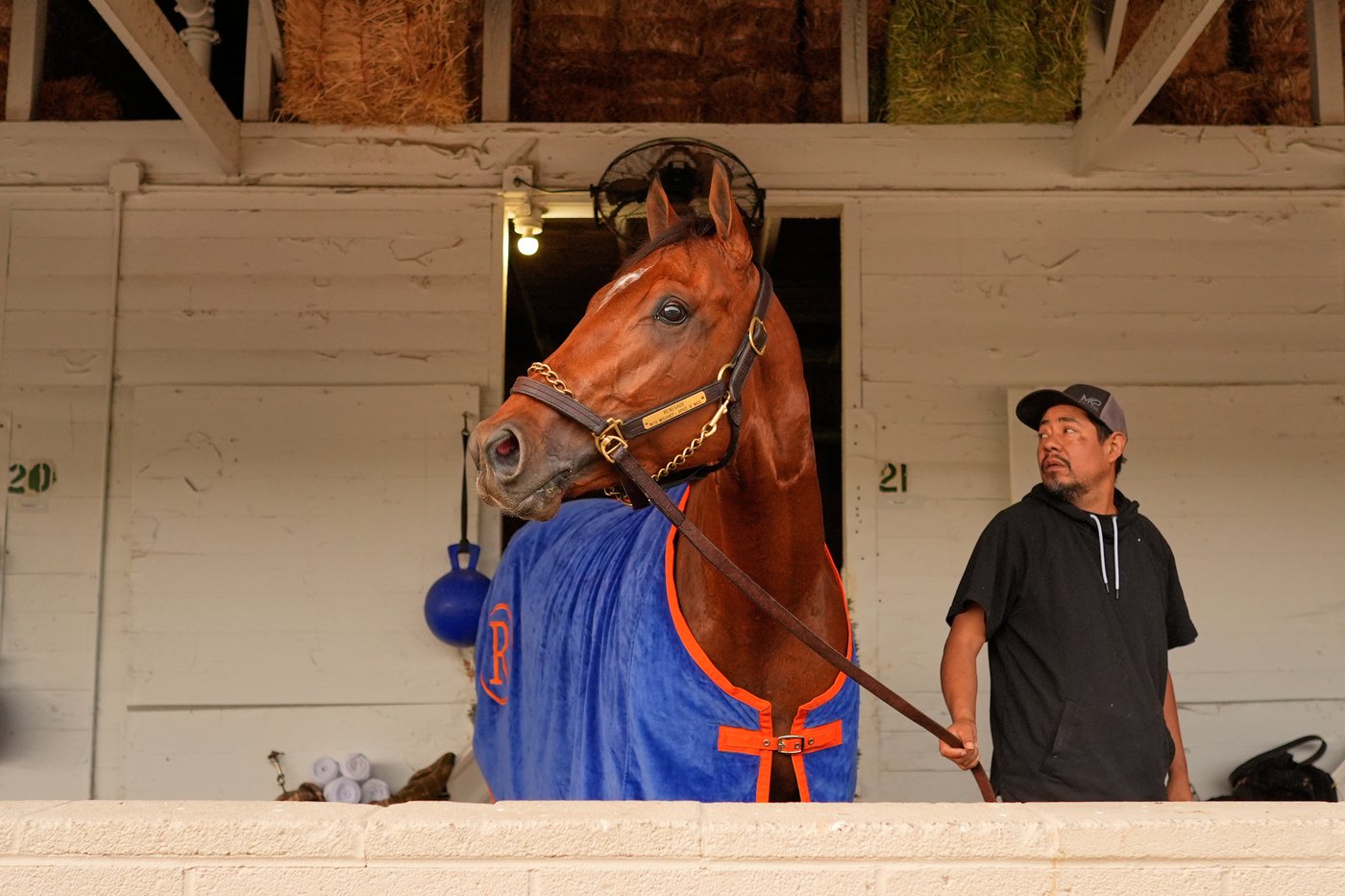Photos show pre-race workouts ahead of the Kentucky Derby | iNFOnews.ca