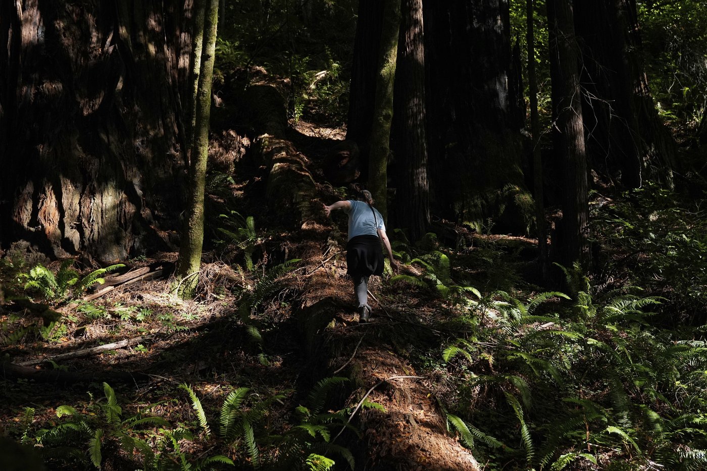 California's Yurok Tribe gets back ancestral lands that were taken over 120 years ago | iNFOnews.ca California's Yurok Tribe gets back ancestral lands that were taken over 120 years ago | iNFOnews.ca