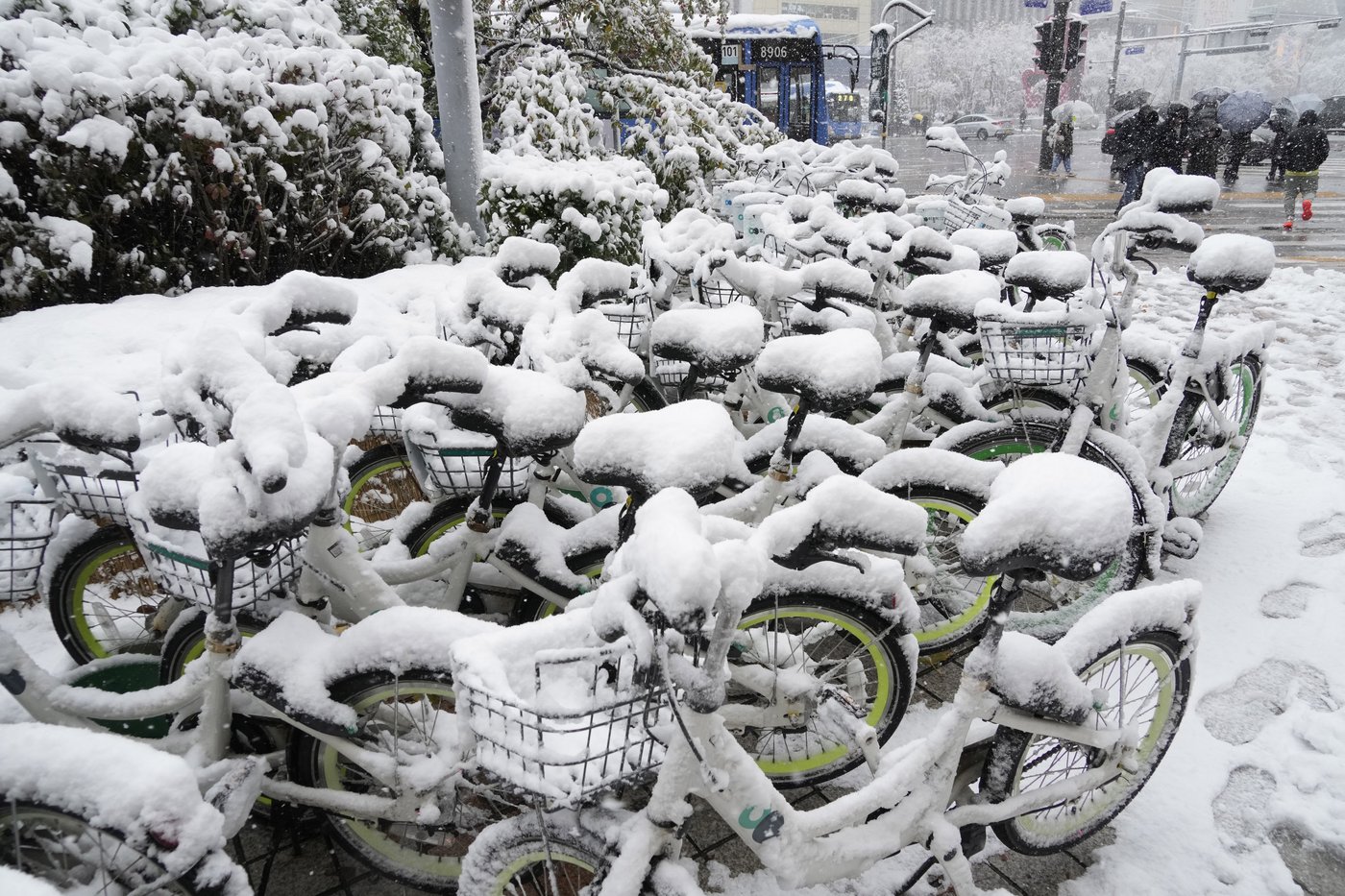Worst November snowstorm in half century hits Seoul and grounds hundreds of airplane flights | iNFOnews.ca