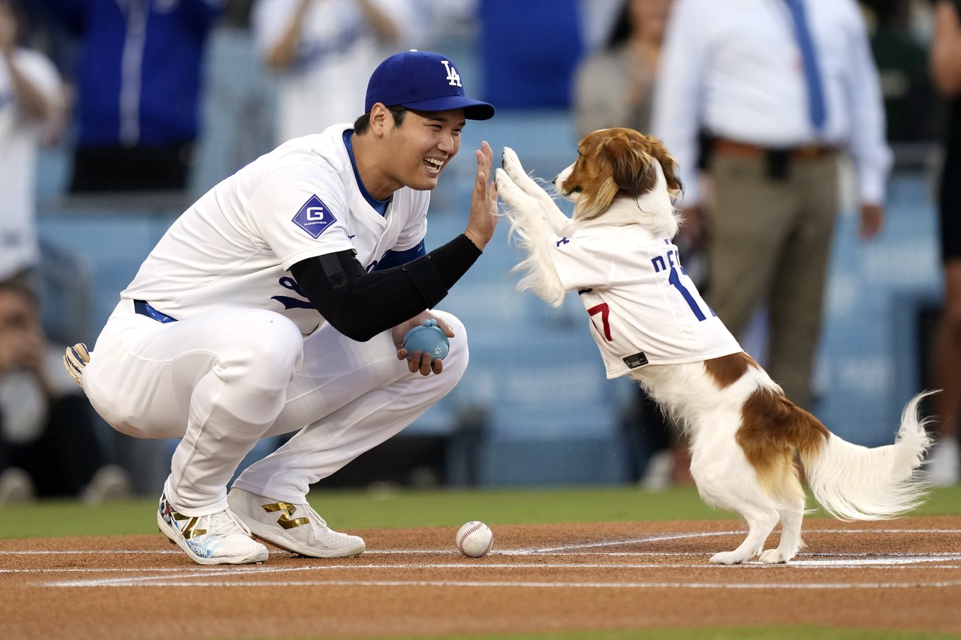 PHOTO COLLECTION: Ohtani's first season with Dodgers | iNFOnews.ca