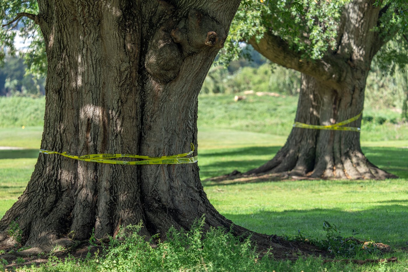 Federal judge orders Trump administration to halt work on historic DC golf course until Oct. 26 | iNFOnews.ca
