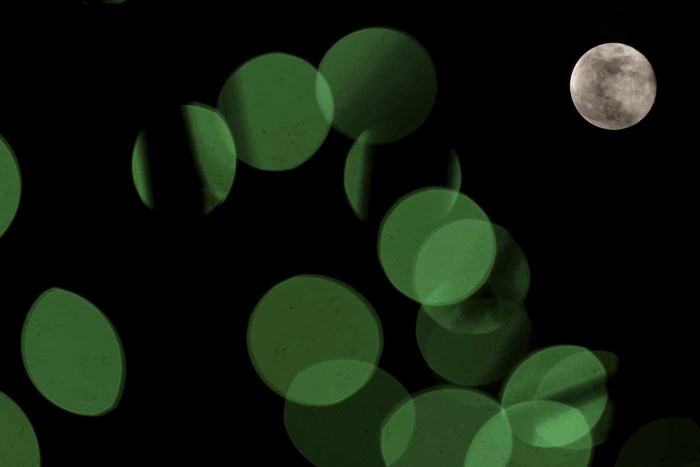 PHOTO COLLECTION: Holiday Lights Around the World | iNFOnews.ca