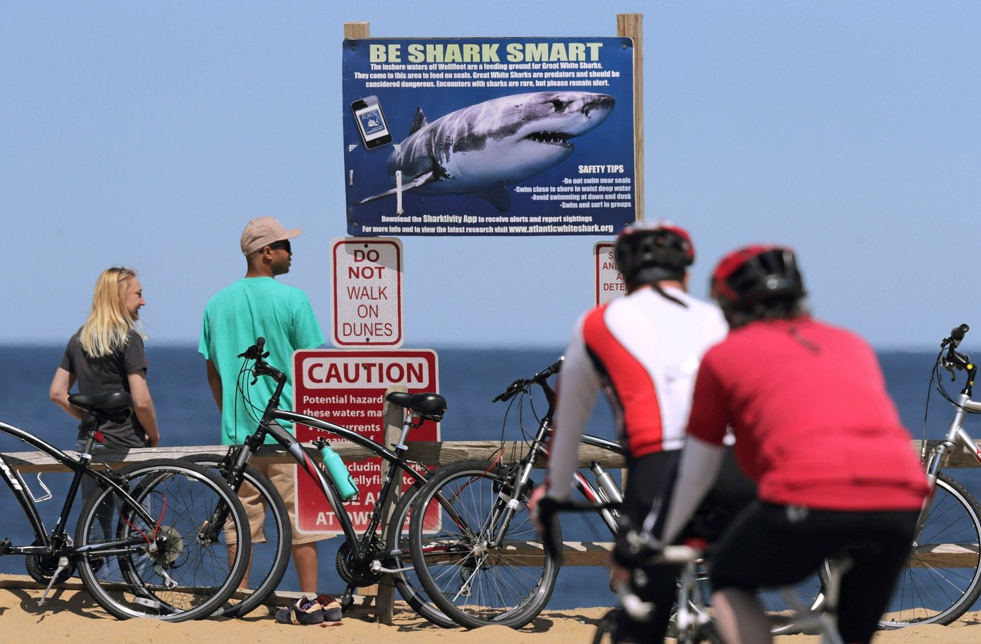 Shark attack on Alabama teen inspires the start of a national alert system | iNFOnews.ca Shark attack on Alabama teen inspires the start of a national alert system | iNFOnews.ca