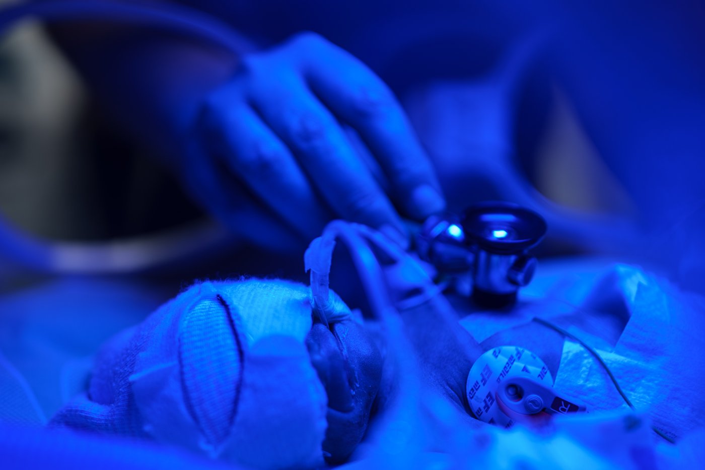 Ukrainian mothers see a rising number of complications with their pregnancies, in photos | iNFOnews.ca