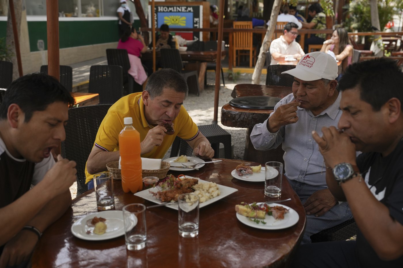Peru celebrates 2 decades of a fast-growing breed of guinea pigs eaten as a delicacy | iNFOnews.ca