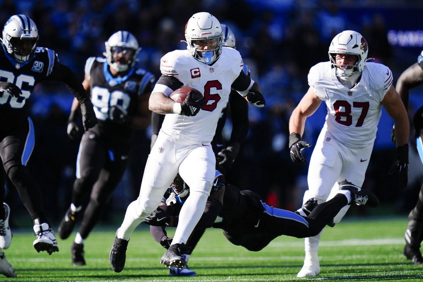 Cardinals fall short of playoffs for 3rd straight season with loss to lowly Panthers | iNFOnews.ca