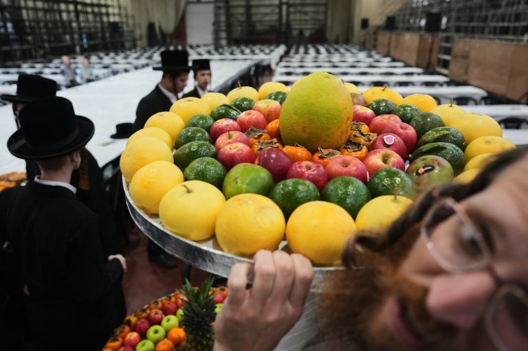 Photos of Hasidic Jews celebrating the 'New Year of Trees' in Israel | iNFOnews.ca