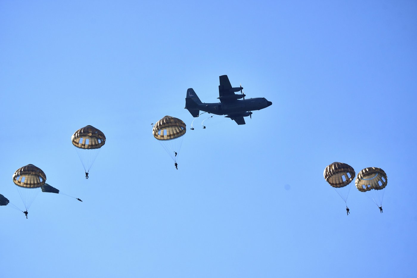 Hundreds of parachutists drop over Dutch heath to commemorate World War II operation | iNFOnews.ca Hundreds of parachutists drop over Dutch heath to commemorate World War II operation | iNFOnews.ca