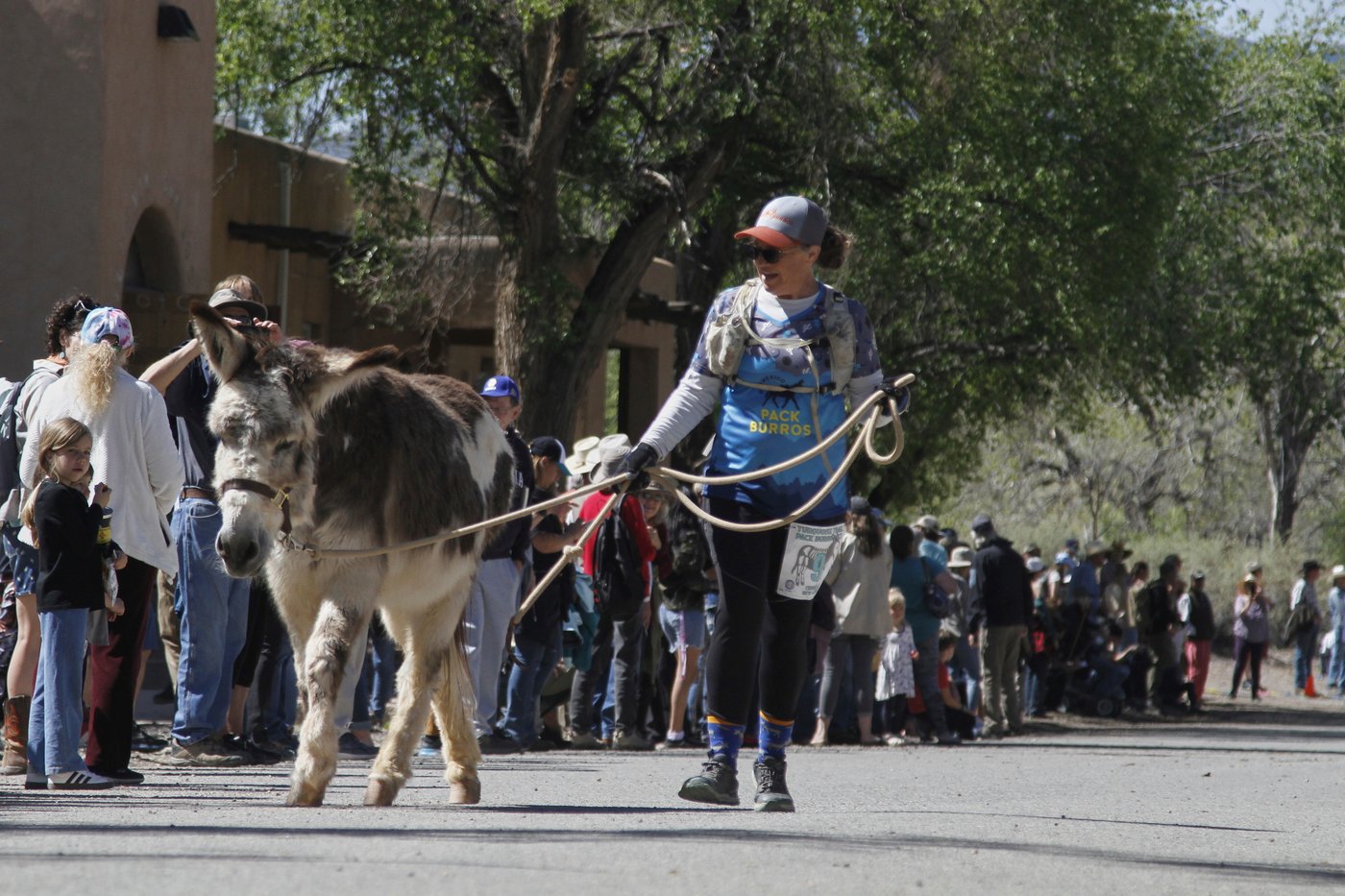 Burro racing wins over runners in backcountry ode to mining history | iNFOnews.ca Burro racing wins over runners in backcountry ode to mining history | iNFOnews.ca