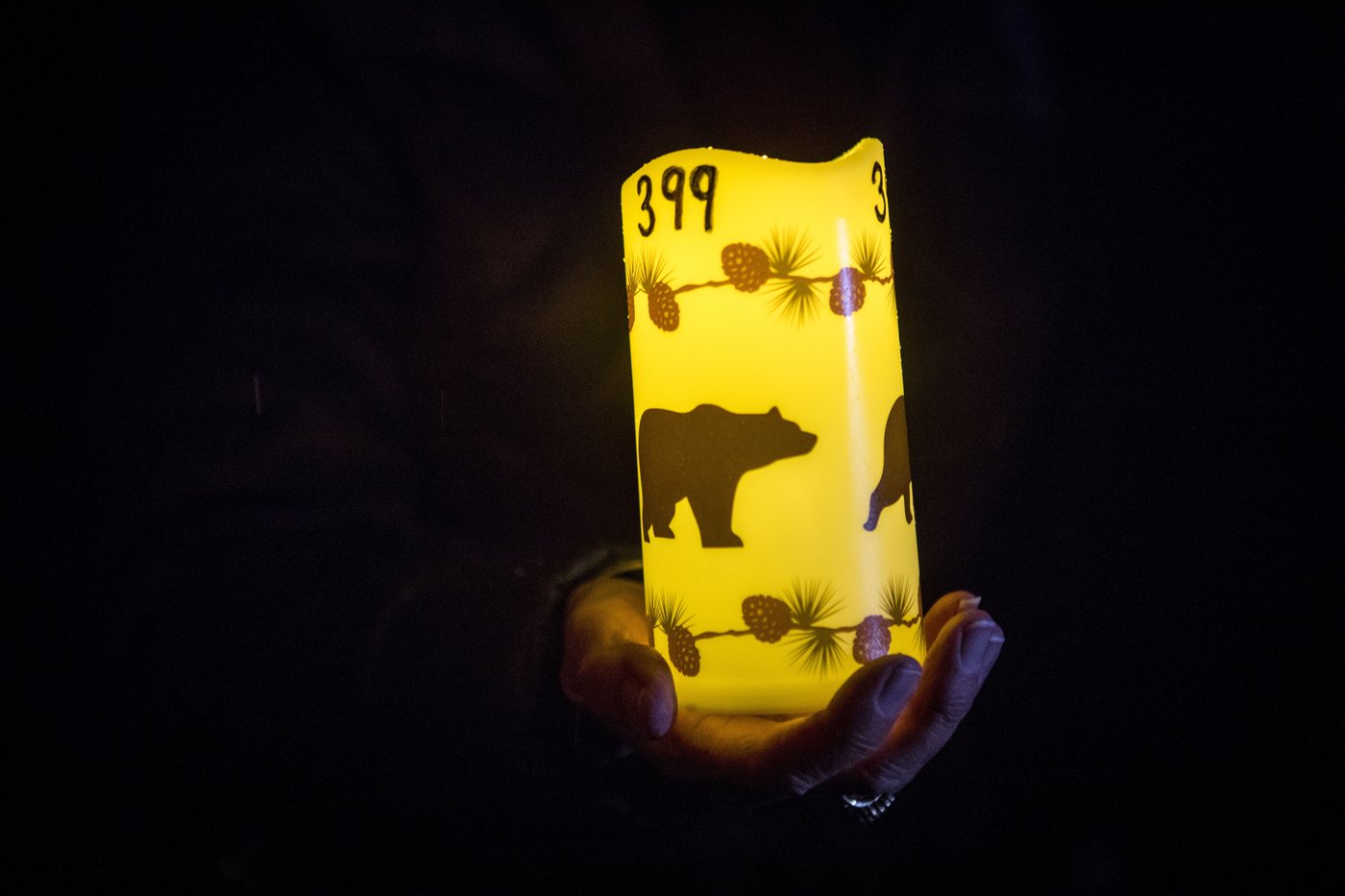 Vigil held for Grizzly No. 399, the beloved Grand Teton bear who was killed by a vehicle | iNFOnews.ca