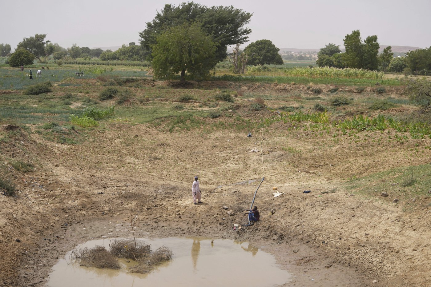 Nigeria has a food security problem as water for crops is harder to find | iNFOnews.ca Nigeria has a food security problem as water for crops is harder to find | iNFOnews.ca