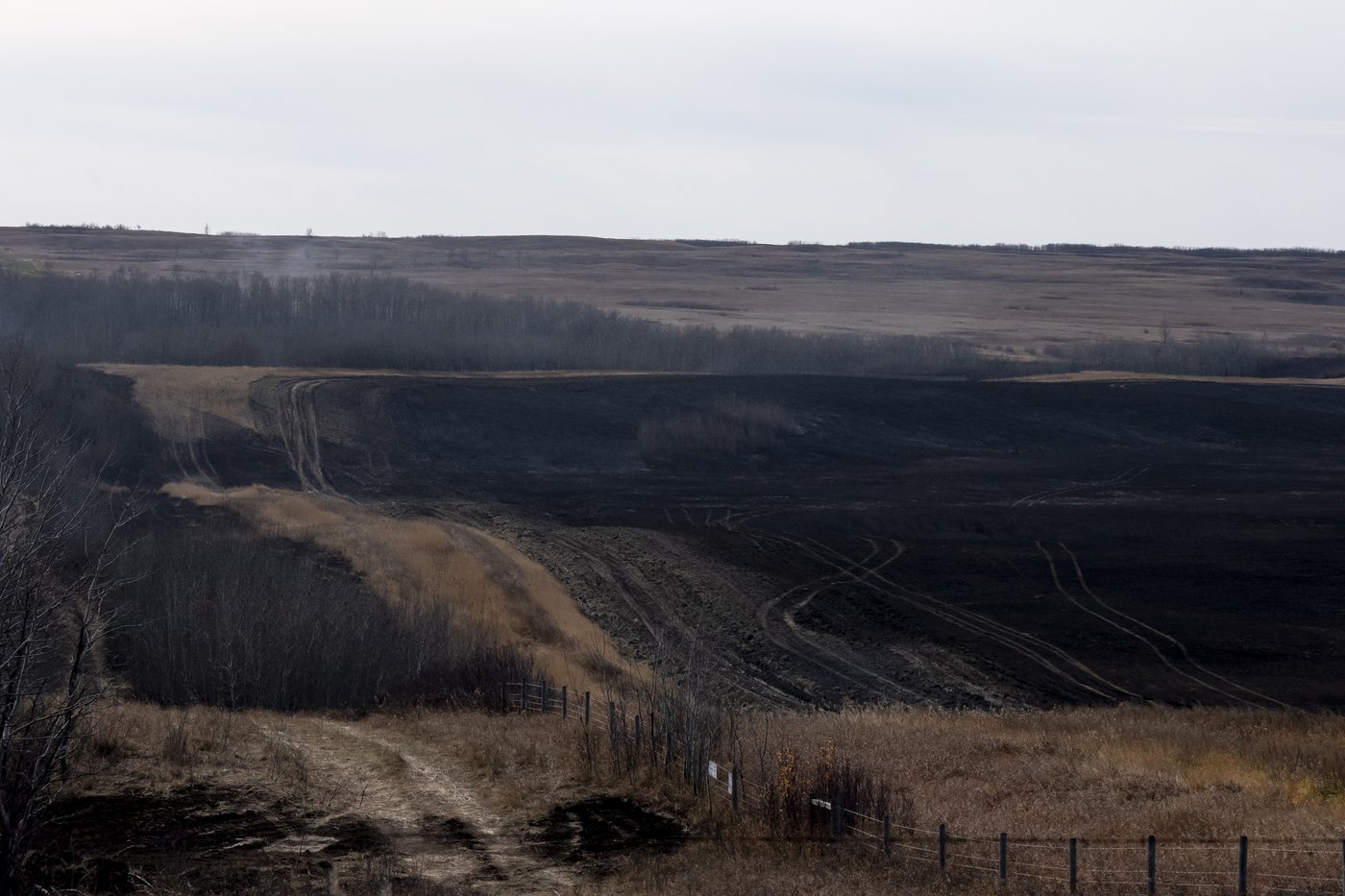 'Perfect storm': Extreme weather fuelled Wainwright military base fire, expert says | iNFOnews.ca 'Perfect storm': Extreme weather fuelled Wainwright military base fire, expert says | iNFOnews.ca