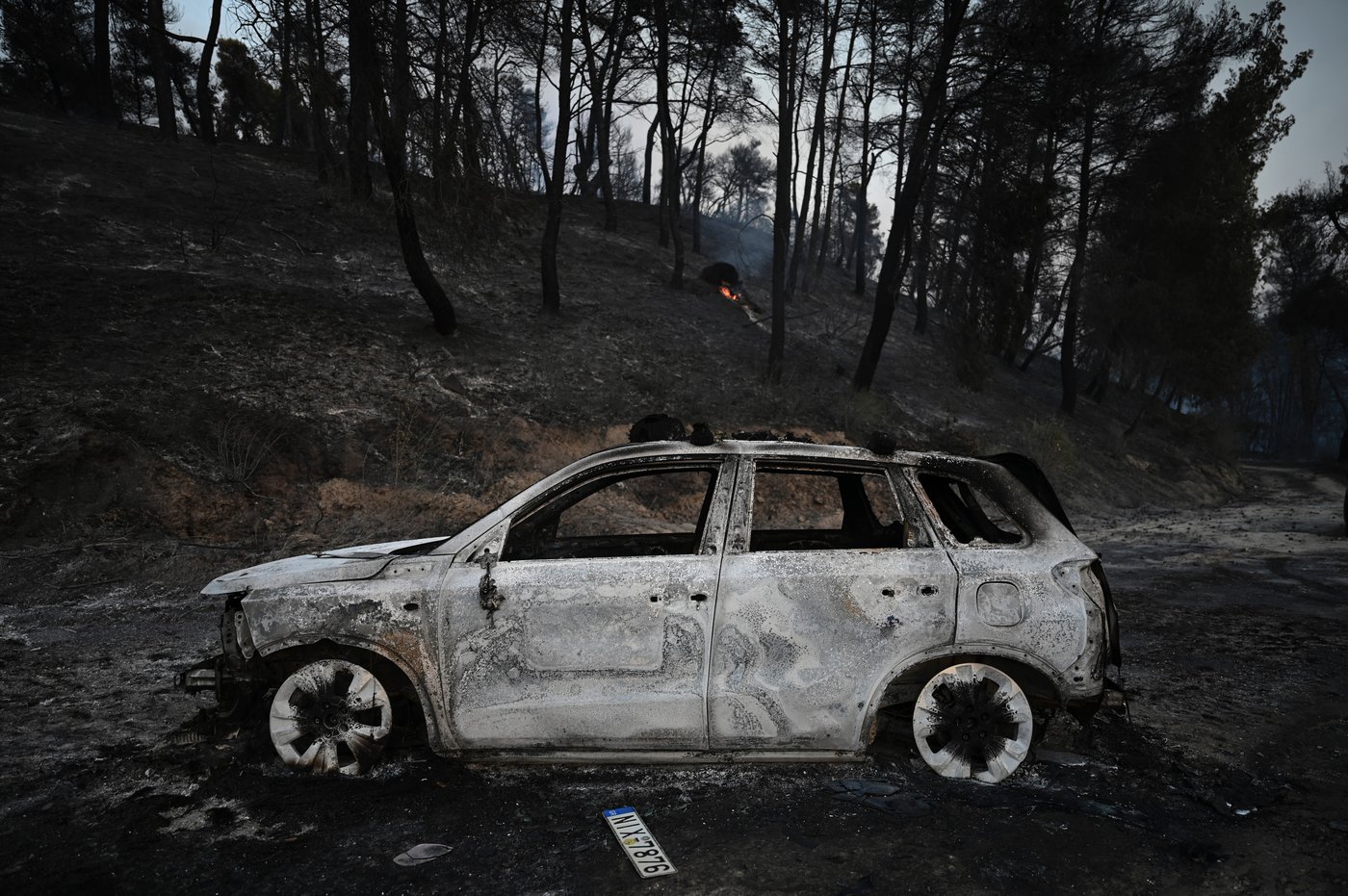 The top photos of the day by AP's photojournalists | iNFOnews.ca