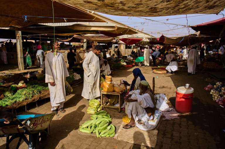 Over 40% of Sudan's population face high levels of acute food insecurity, monitoring group warns | iNFOnews.ca