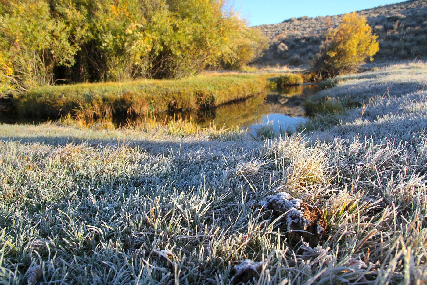 EPA, conservation groups: Wyoming’s ‘impaired’ water protocols run afoul of the Clean Water Act | iNFOnews.ca EPA, conservation groups: Wyoming’s ‘impaired’ water protocols run afoul of the Clean Water Act | iNFOnews.ca