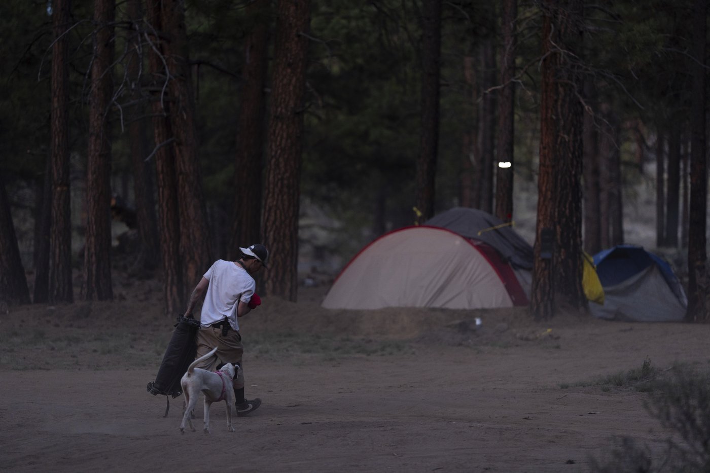 US Forest Service starts clearing homeless camp in Oregon national forest | iNFOnews.ca US Forest Service starts clearing homeless camp in Oregon national forest | iNFOnews.ca