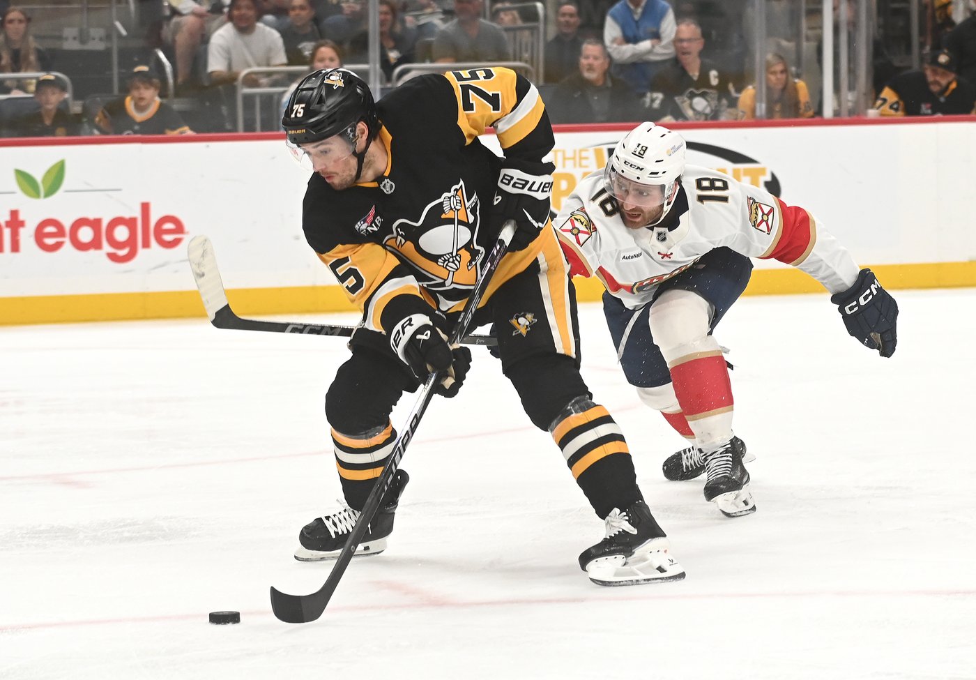 Malkin has 14th career hat trick, Penguins rout Panthers 9-4 to end Florida's bid for a 3-peat | iNFOnews.ca Malkin has 14th career hat trick, Penguins rout Panthers 9-4 to end Florida's bid for a 3-peat | iNFOnews.ca