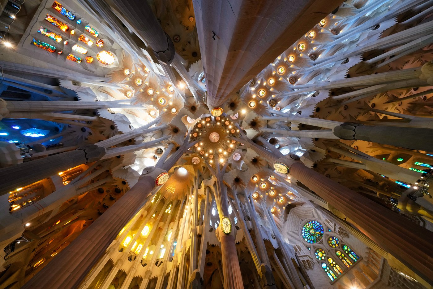 The top photos of the day by AP photojournalists | iNFOnews.ca