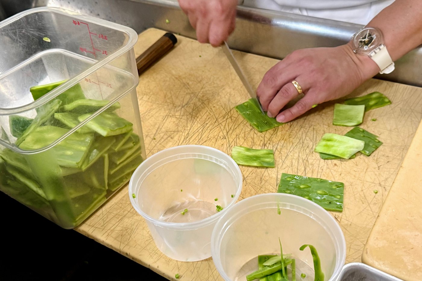 With a historic 3 Michelin stars, a Mexican restaurant in San Francisco defies stereotypes | iNwheels With a historic 3 Michelin stars, a Mexican restaurant in San Francisco defies stereotypes | iNwheels