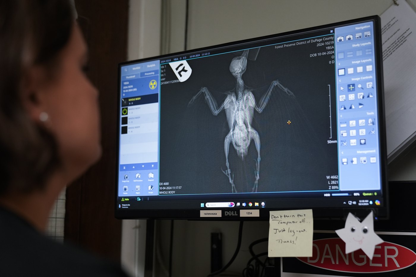 Avian enthusiasts try to counter the deadly risk of Chicago high-rises for migrating birds | iNFOnews.ca