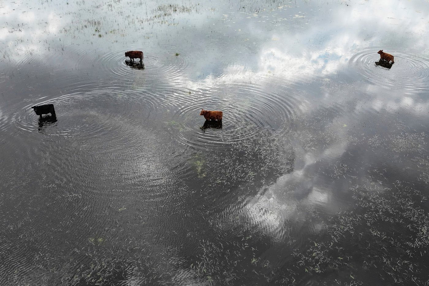 As world leaders enter climate talks, people in poverty have the most at stake | iNFOnews.ca