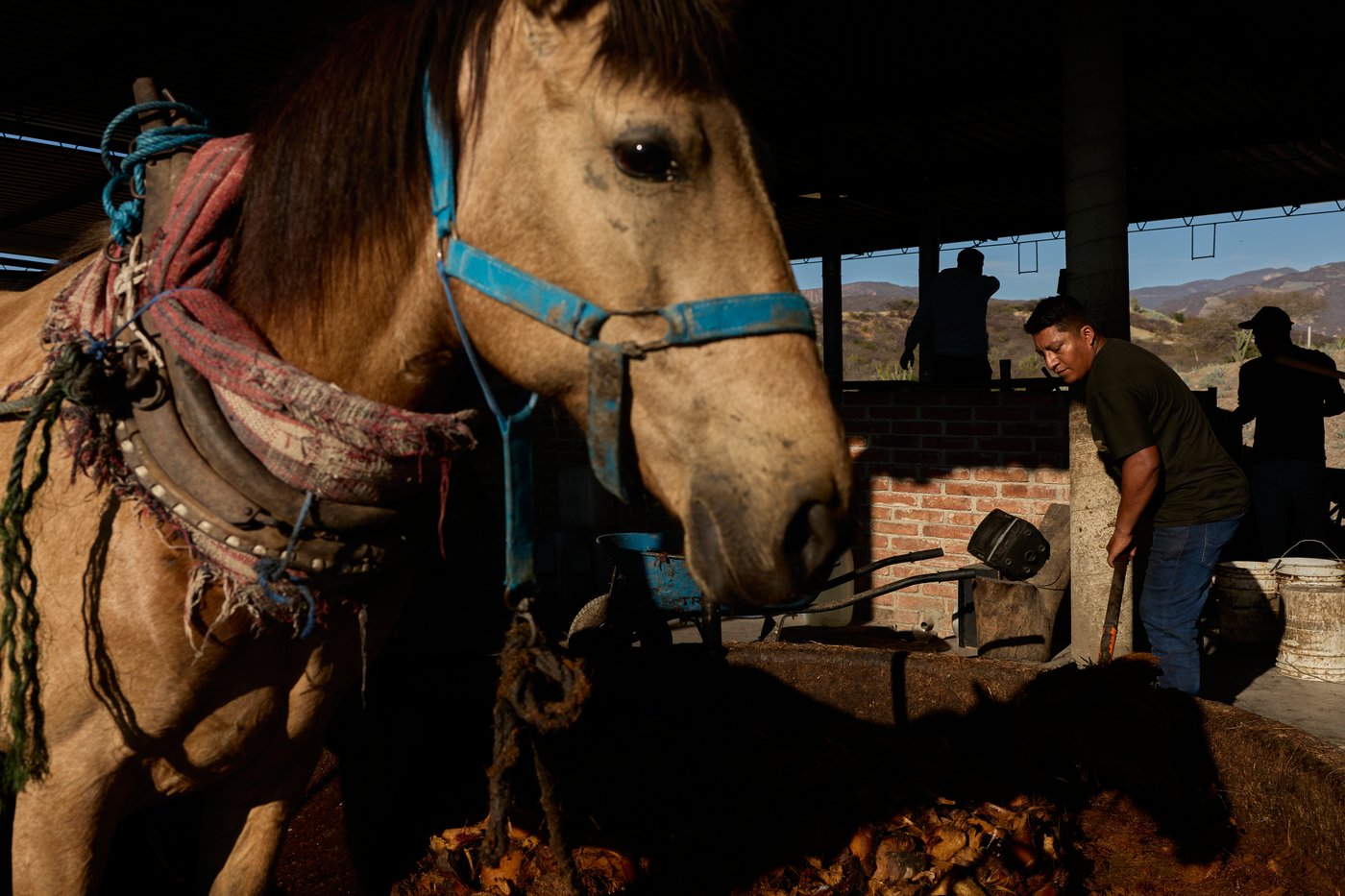 The top photos of the day by AP's photojournalists | iNFOnews.ca