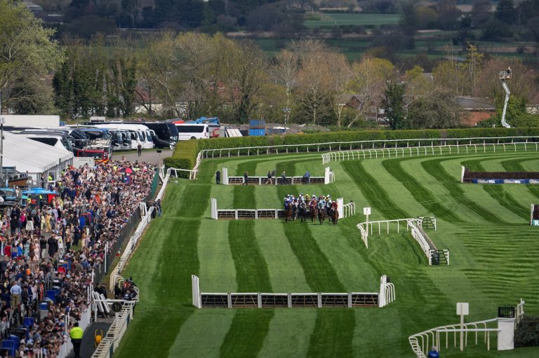 Horse is euthanized after breaking its back but still winning a Grand National steeplechase race | iNFOnews.ca