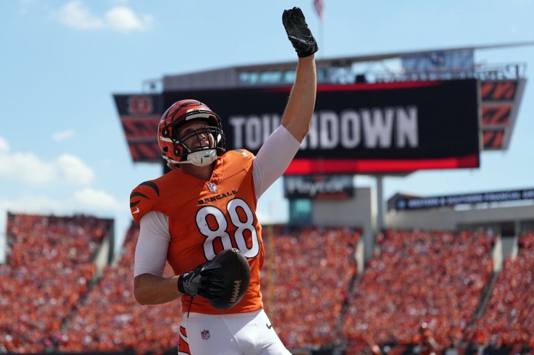 Bengals force 4 turnovers, Burrow throws for TD in 33-27 win over the Buccaneers | iNFOnews.ca