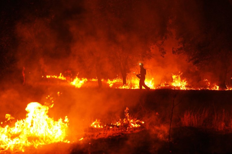 Firefighters say they've never seen anything like Spain's record blaze | iNFOnews.ca