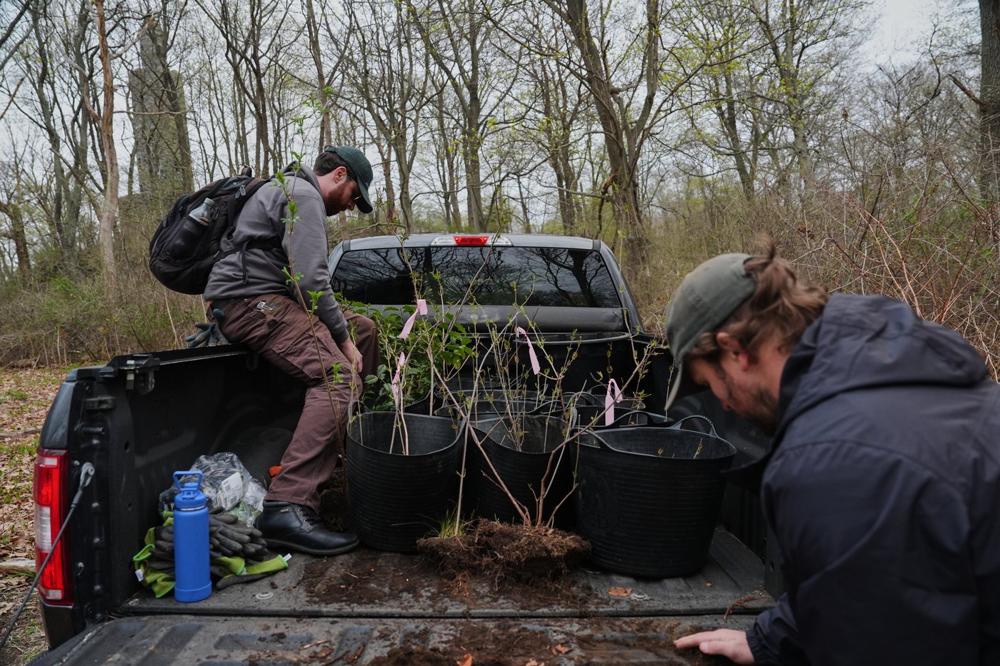 Trees are magic. In Newport, volunteers are working to expand their healthy reach | iNFOnews.ca