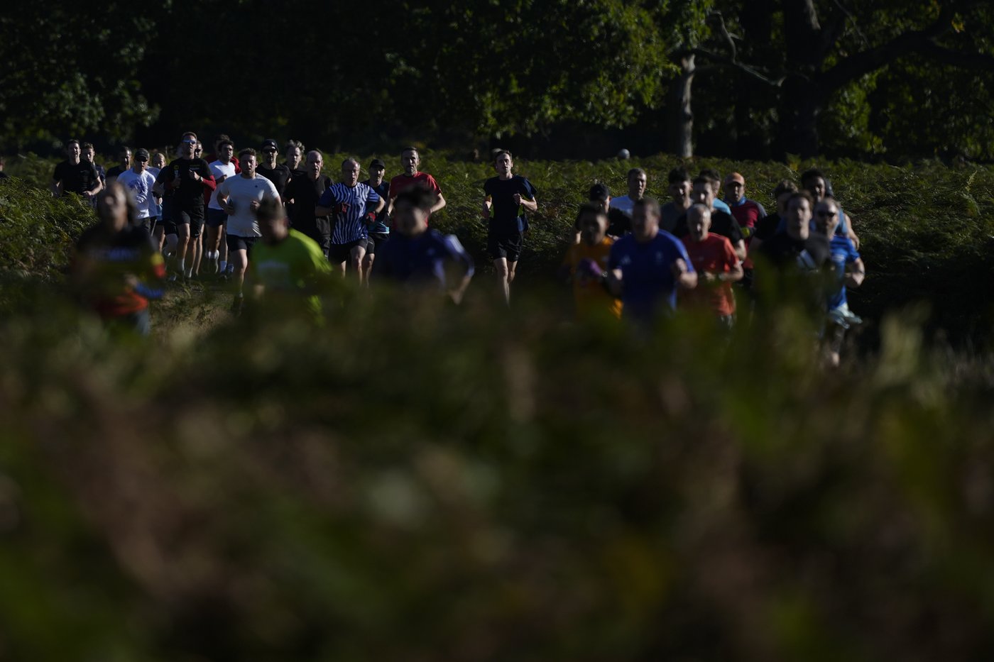 Parkrun celebrates 20th anniversary as weekly race grows from 13 runners to millions in 23 countries | iNFOnews.ca Parkrun celebrates 20th anniversary as weekly race grows from 13 runners to millions in 23 countries | iNFOnews.ca