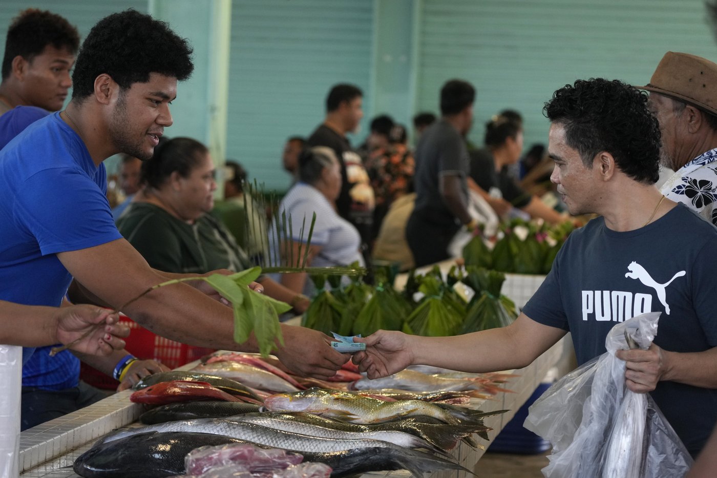 A Samoan village prepares to welcome King Charles but fears an uncertain future for its reef | iNFOnews.ca A Samoan village prepares to welcome King Charles but fears an uncertain future for its reef | iNFOnews.ca