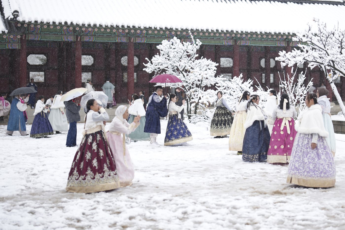 Worst November snowstorm in half century hits Seoul and grounds hundreds of airplane flights | iNFOnews.ca