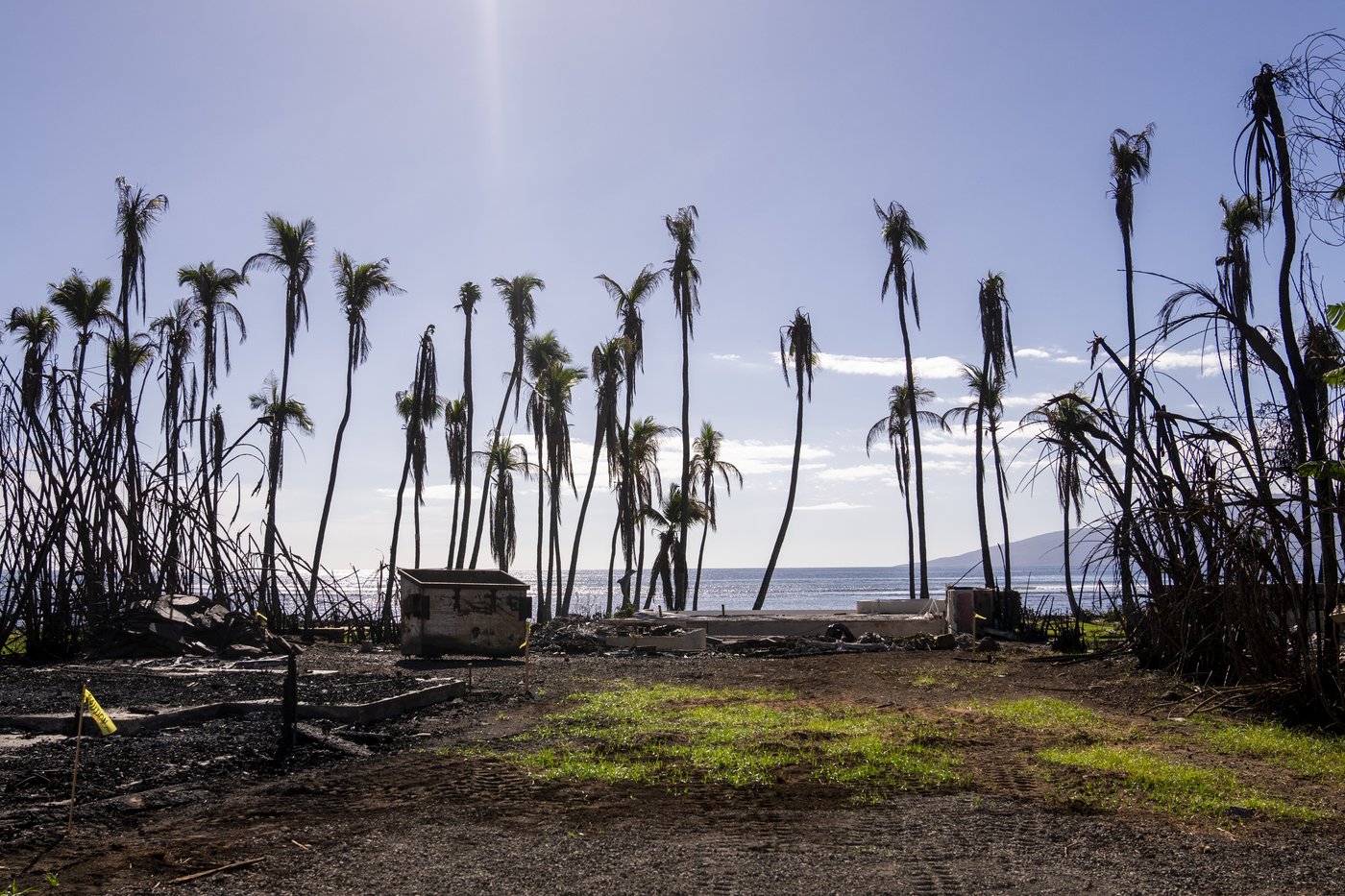 Researchers say poverty and unemployment are up in Lahaina after last year's wildfires | iNFOnews.ca