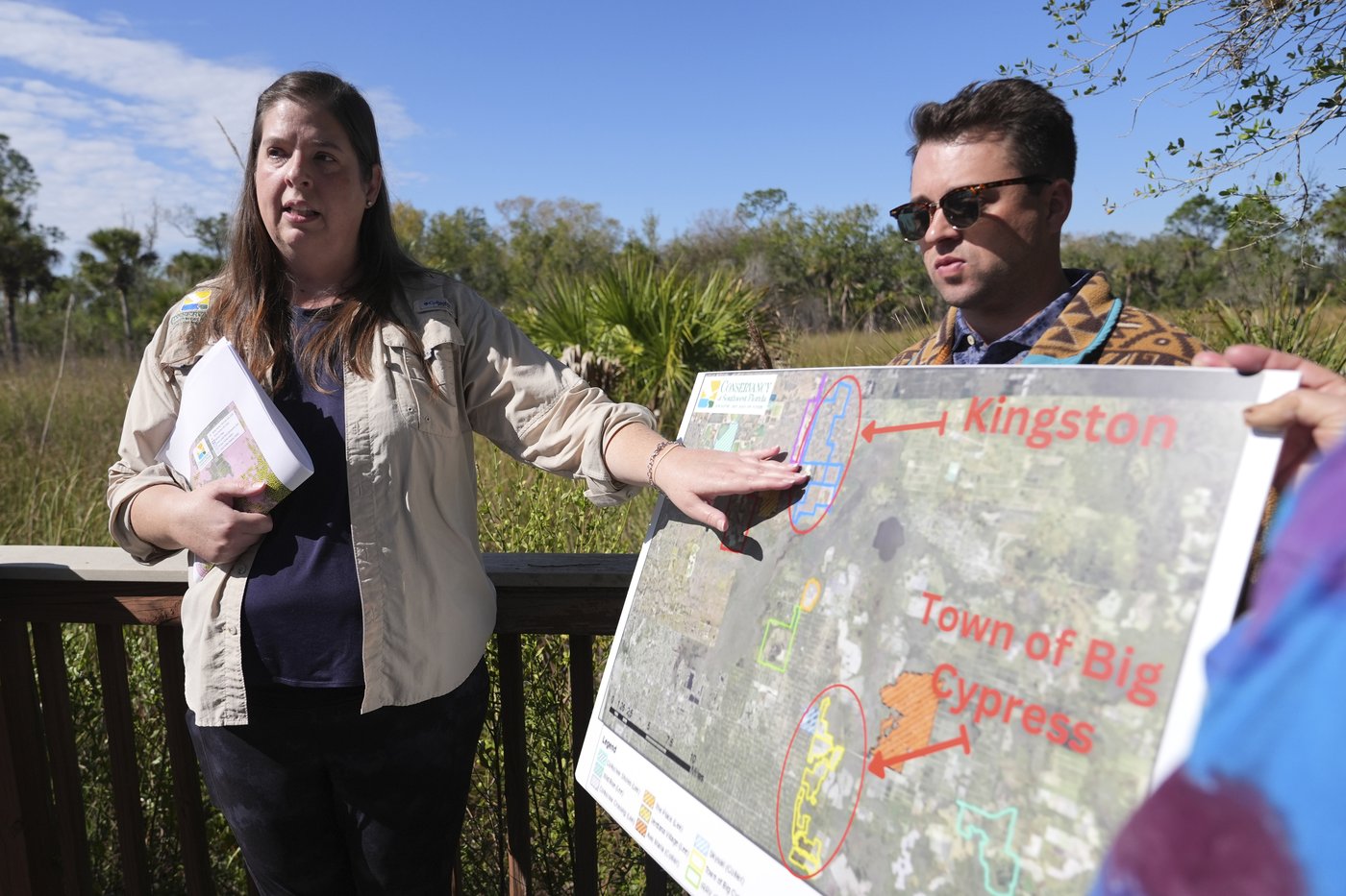 The endangered Florida panther faces the dual threats of urban sprawl and increased traffic | iNFOnews.ca