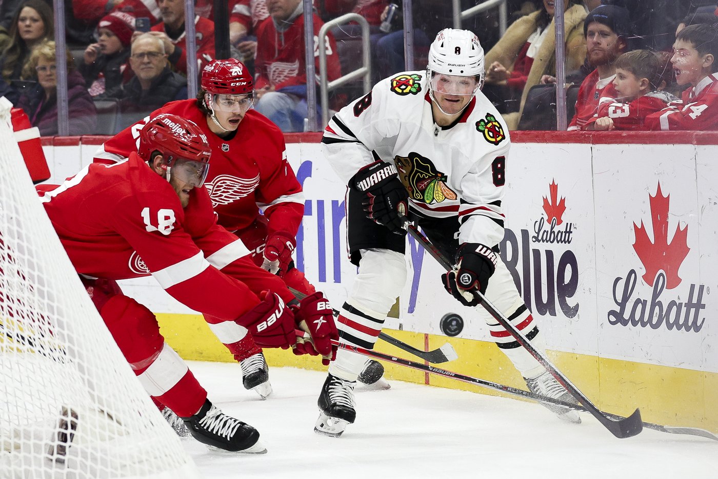 Red Wings hold off Blackhawks 5-3 for 6th straight victory | iNFOnews.ca
