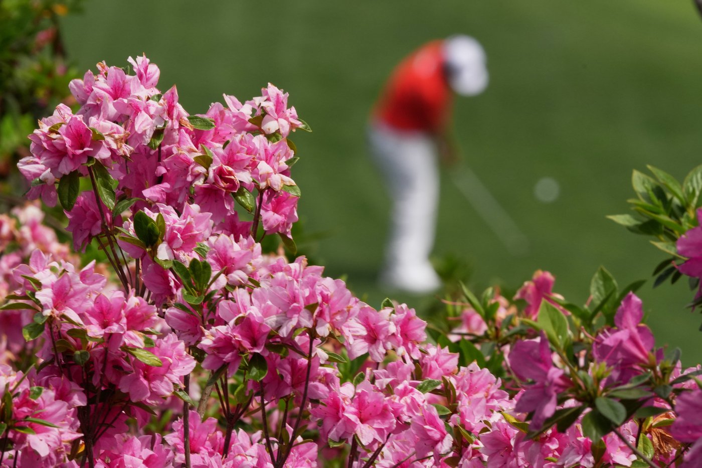 Photo Gallery: The week in sports photos | iNFOnews.ca