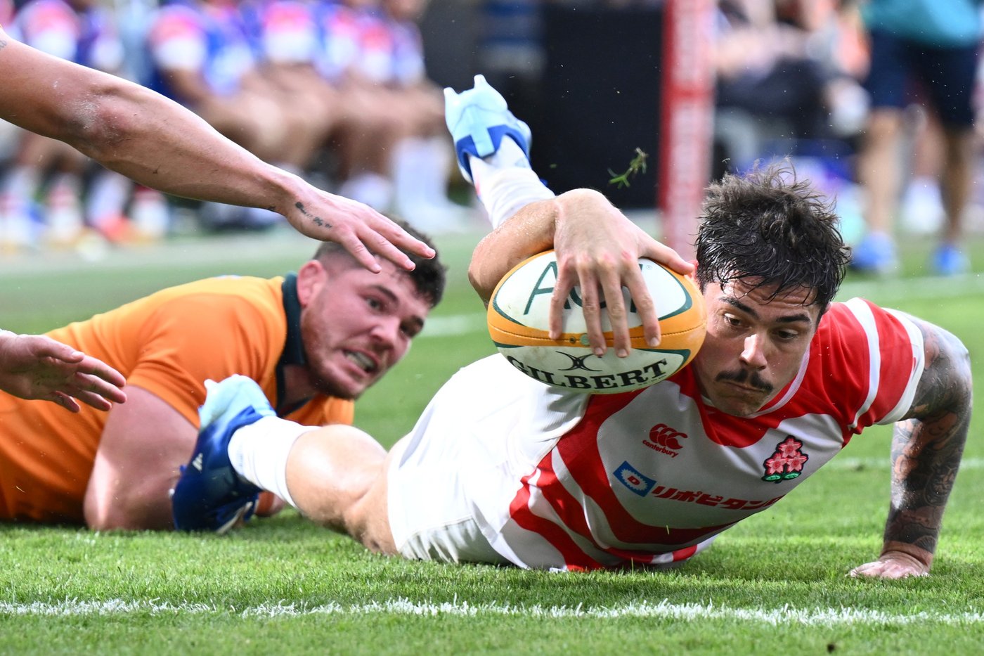De Lutiis marks 1,000th Wallabies cap with a try as Australia routs Japan 56-17 | iNFOnews.ca De Lutiis marks 1,000th Wallabies cap with a try as Australia routs Japan 56-17 | iNFOnews.ca