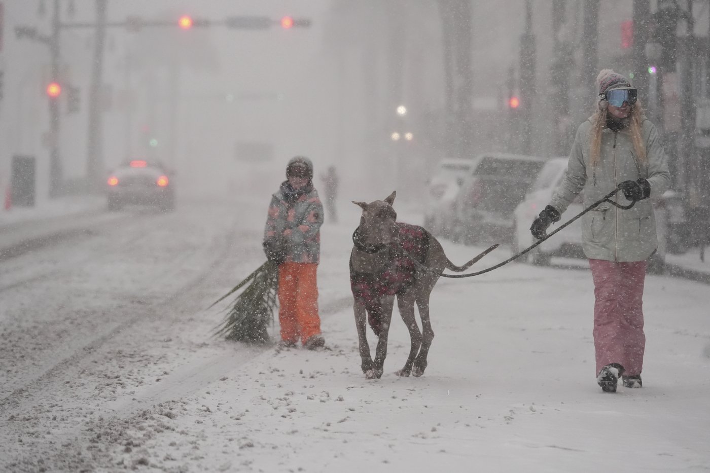 How to survive snow and bitter cold that's reached all the way to the Gulf Coast | iNFOnews.ca