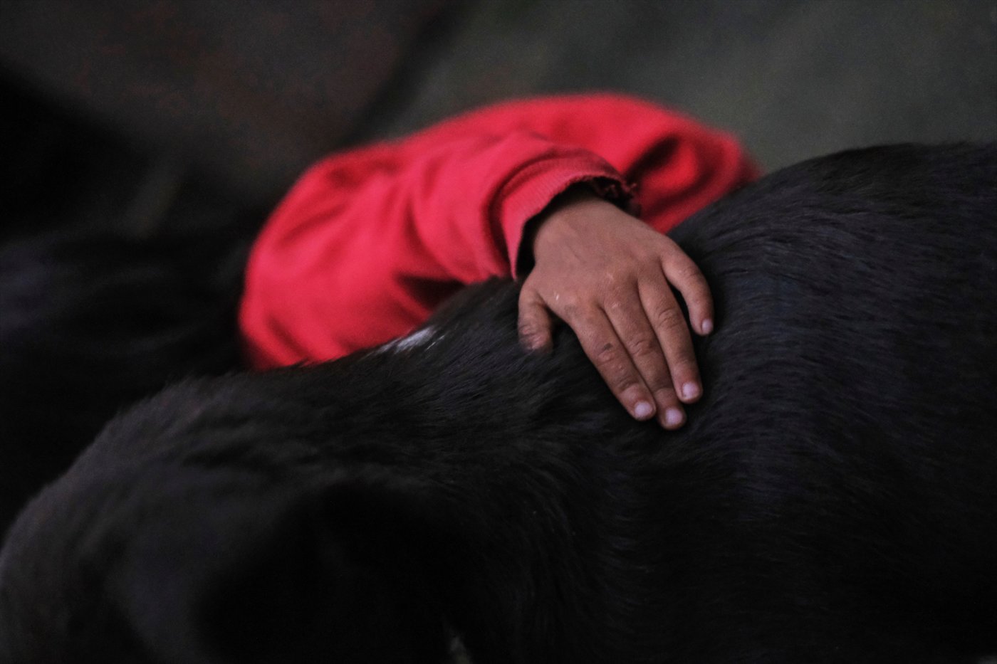 A family in India's Nagaland finds alternate ways to cook food, in photos | iNFOnews.ca