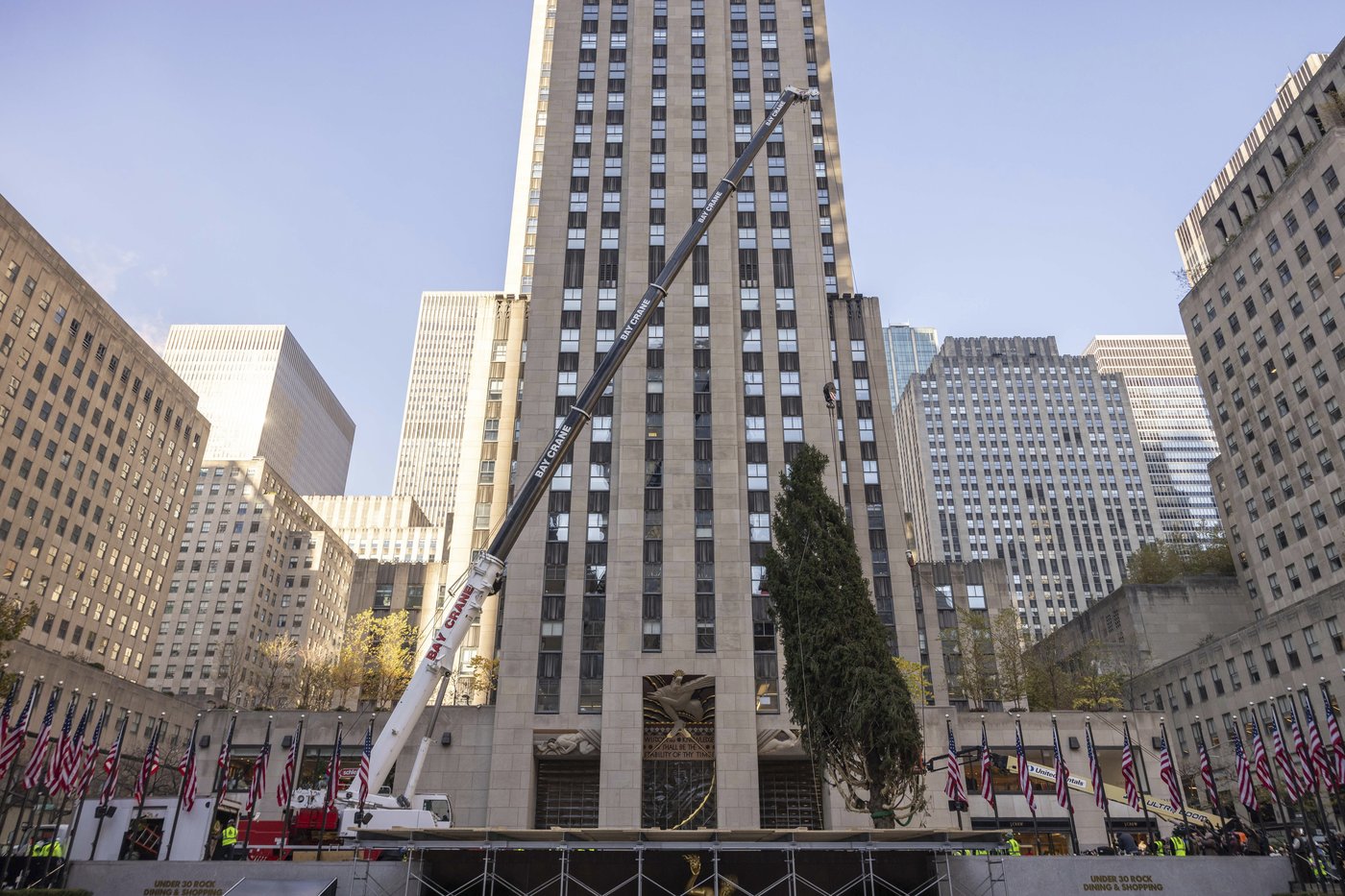 Haul out the holly! Rockefeller Center Christmas Tree arrives in New York City | iNFOnews.ca