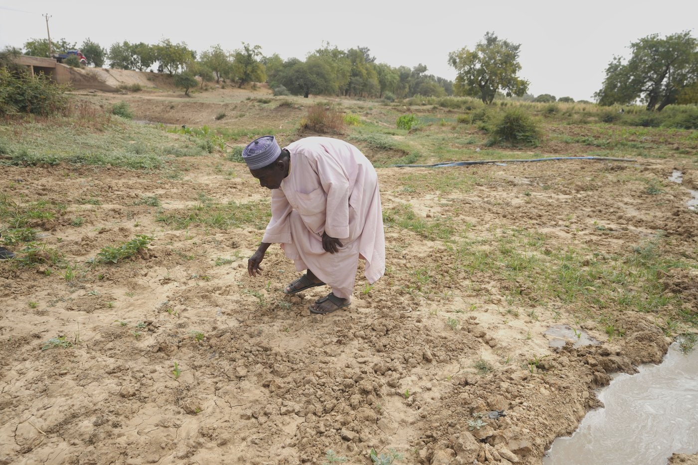 Nigeria has a food security problem as water for crops is harder to find | iNFOnews.ca Nigeria has a food security problem as water for crops is harder to find | iNFOnews.ca