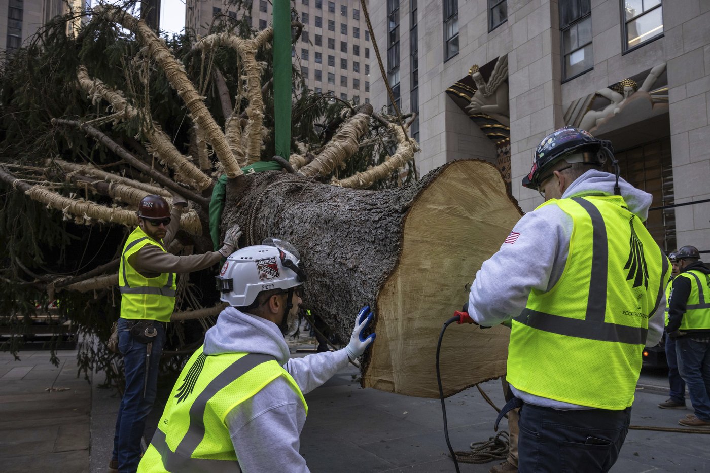 Haul out the holly! Rockefeller Center Christmas Tree arrives in New York City | iNFOnews.ca