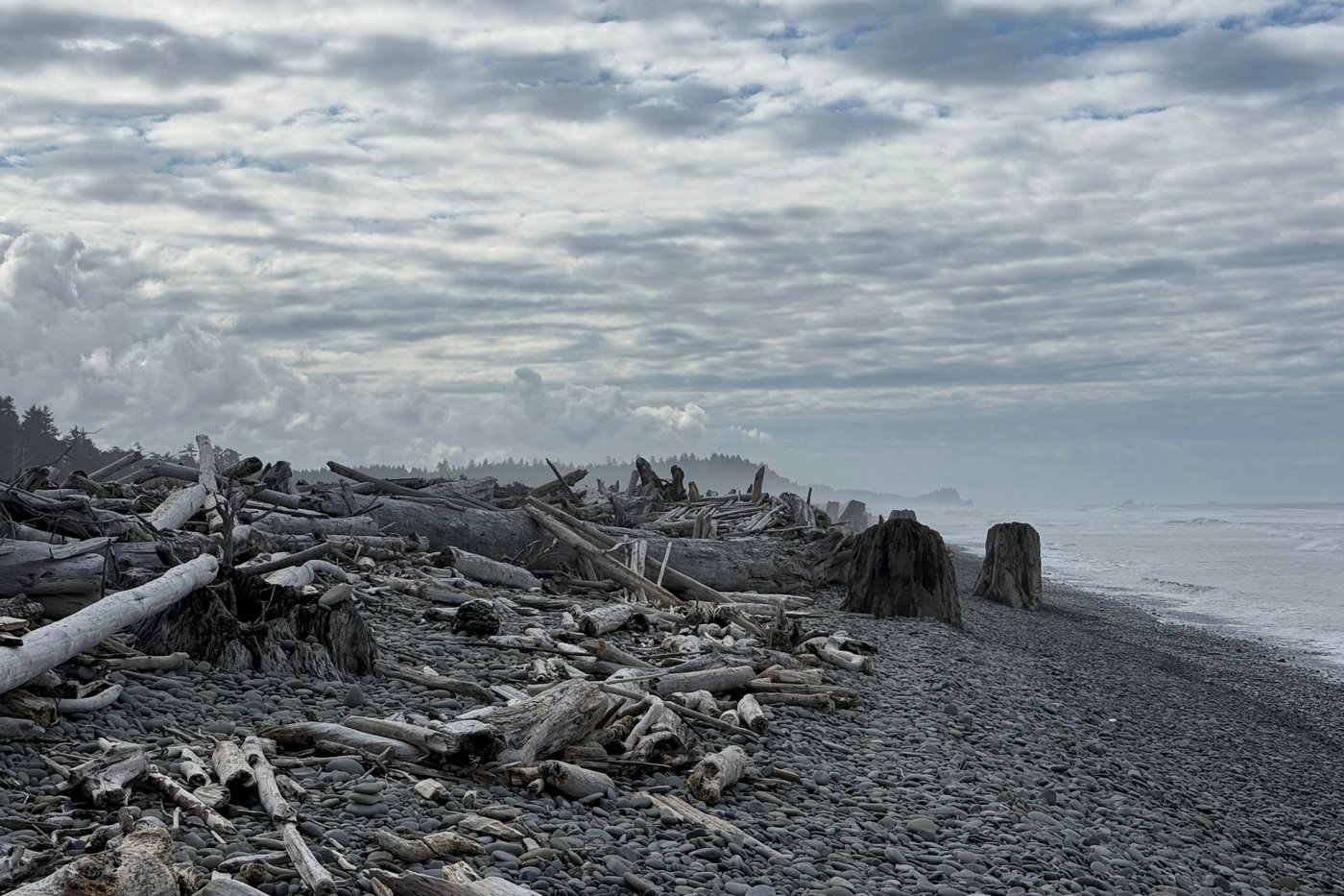 A pulse of warm water hitting the Pacific coast could mean erosion and flooding | iNFOnews.ca A pulse of warm water hitting the Pacific coast could mean erosion and flooding | iNFOnews.ca