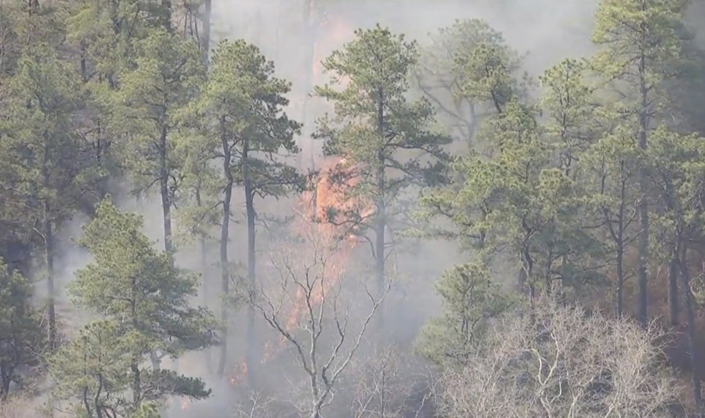 Man charged with arson after authorities say he sparked New Jersey Pine Barrens fire | iNFOnews.ca