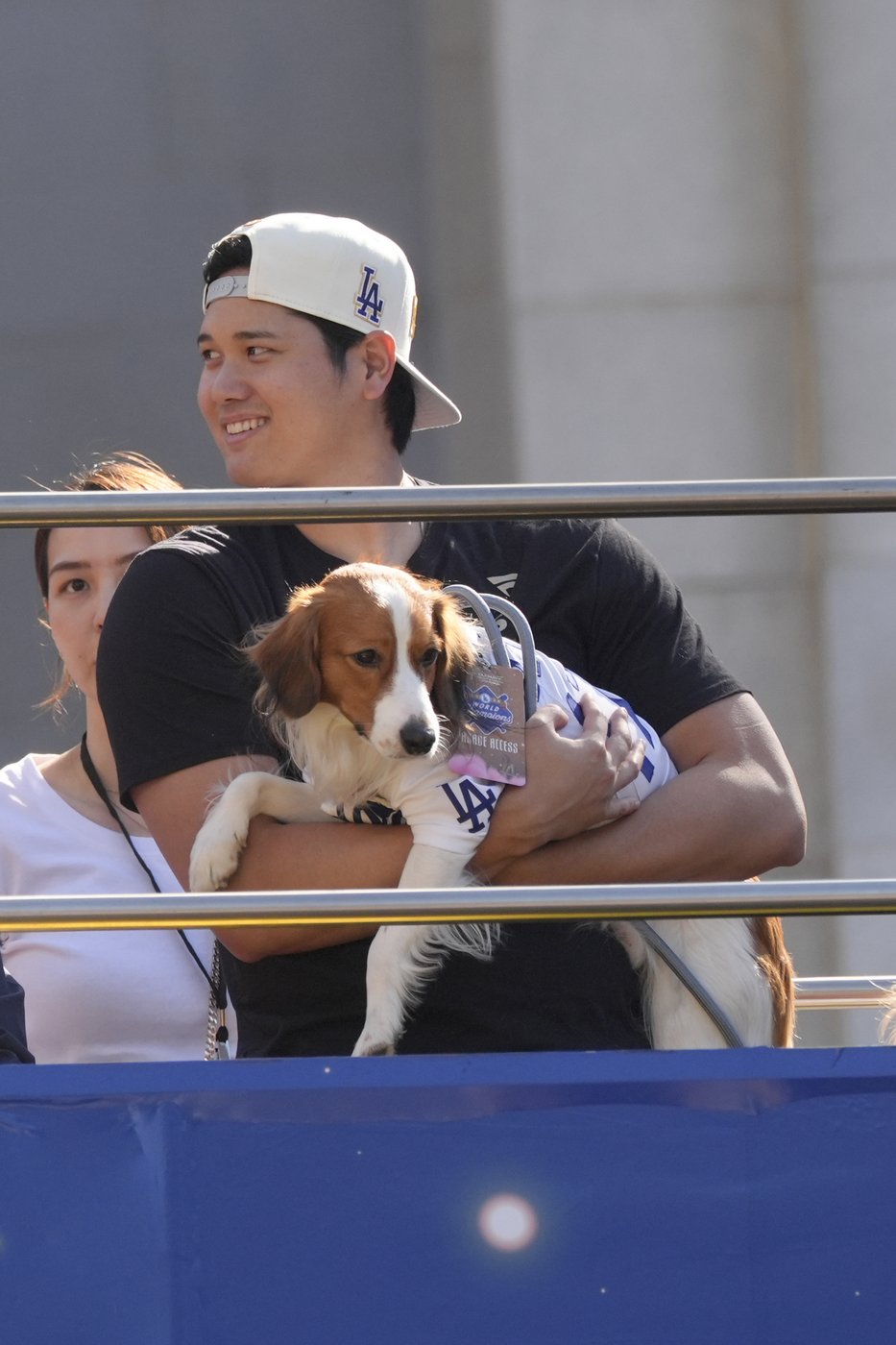 Meet Decoy Ohtani, perhaps the most valuable pet of the World Series | iNFOnews.ca Meet Decoy Ohtani, perhaps the most valuable pet of the World Series | iNFOnews.ca