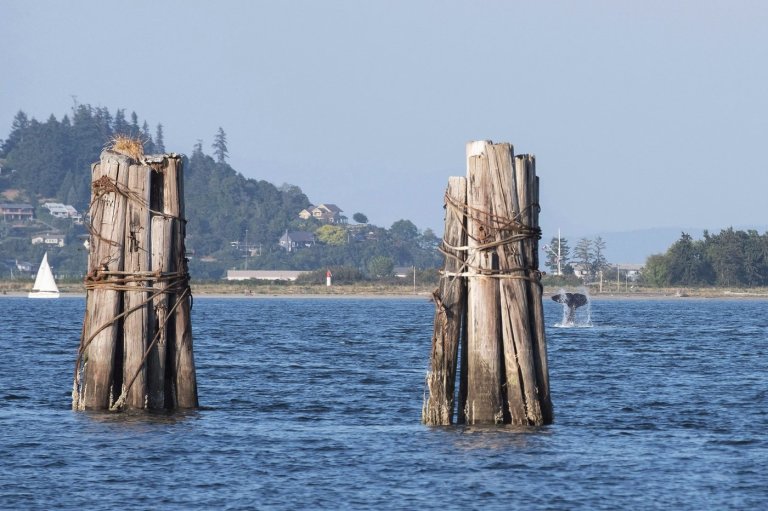 B.C.'s Comox Valley issues sewer use warning due to 'ongoing emergency' | iNFOnews.ca