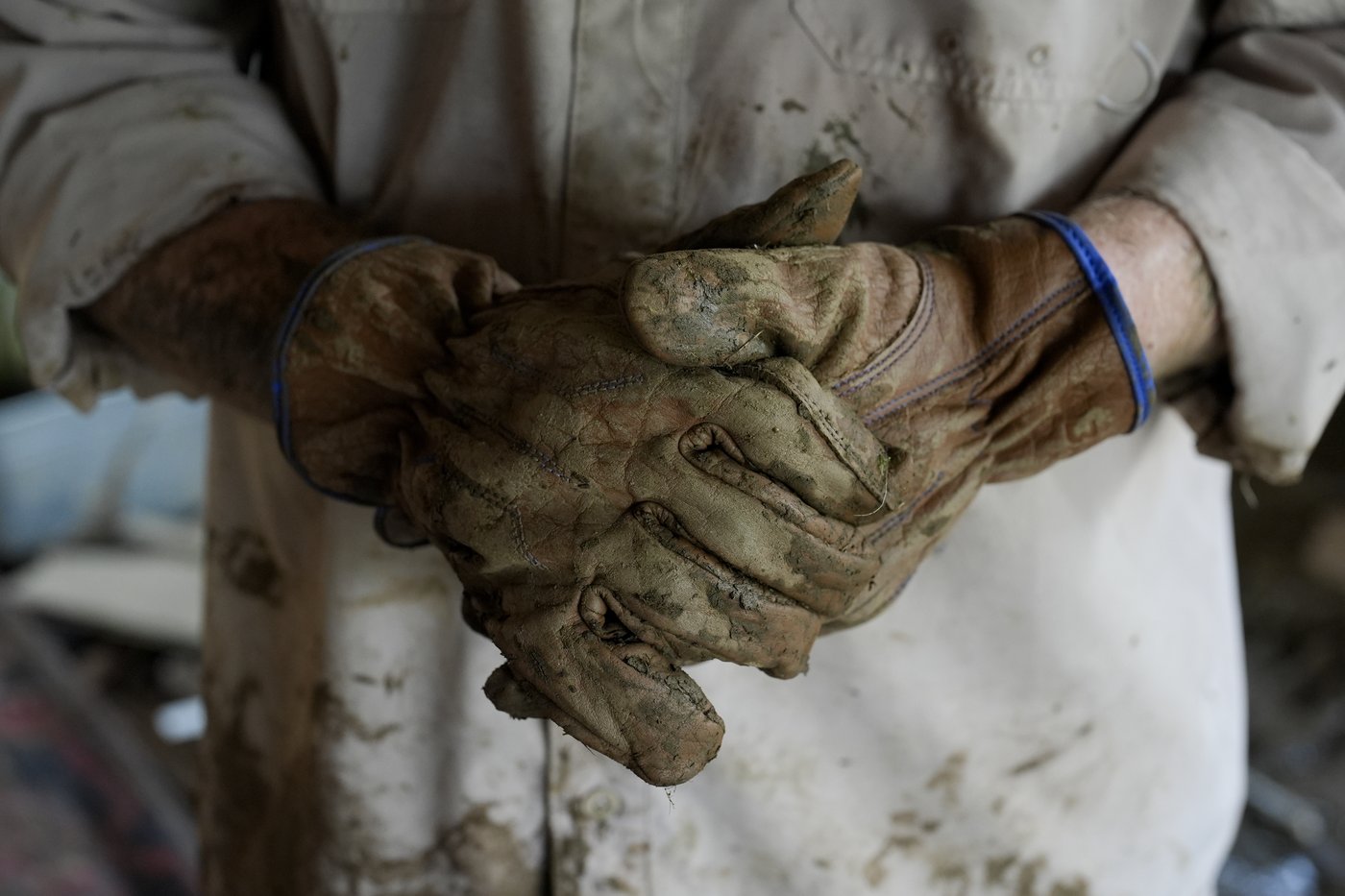 Voters in North Carolina and Georgia have bigger problems than politics. Helene changed everything | iNFOnews.ca