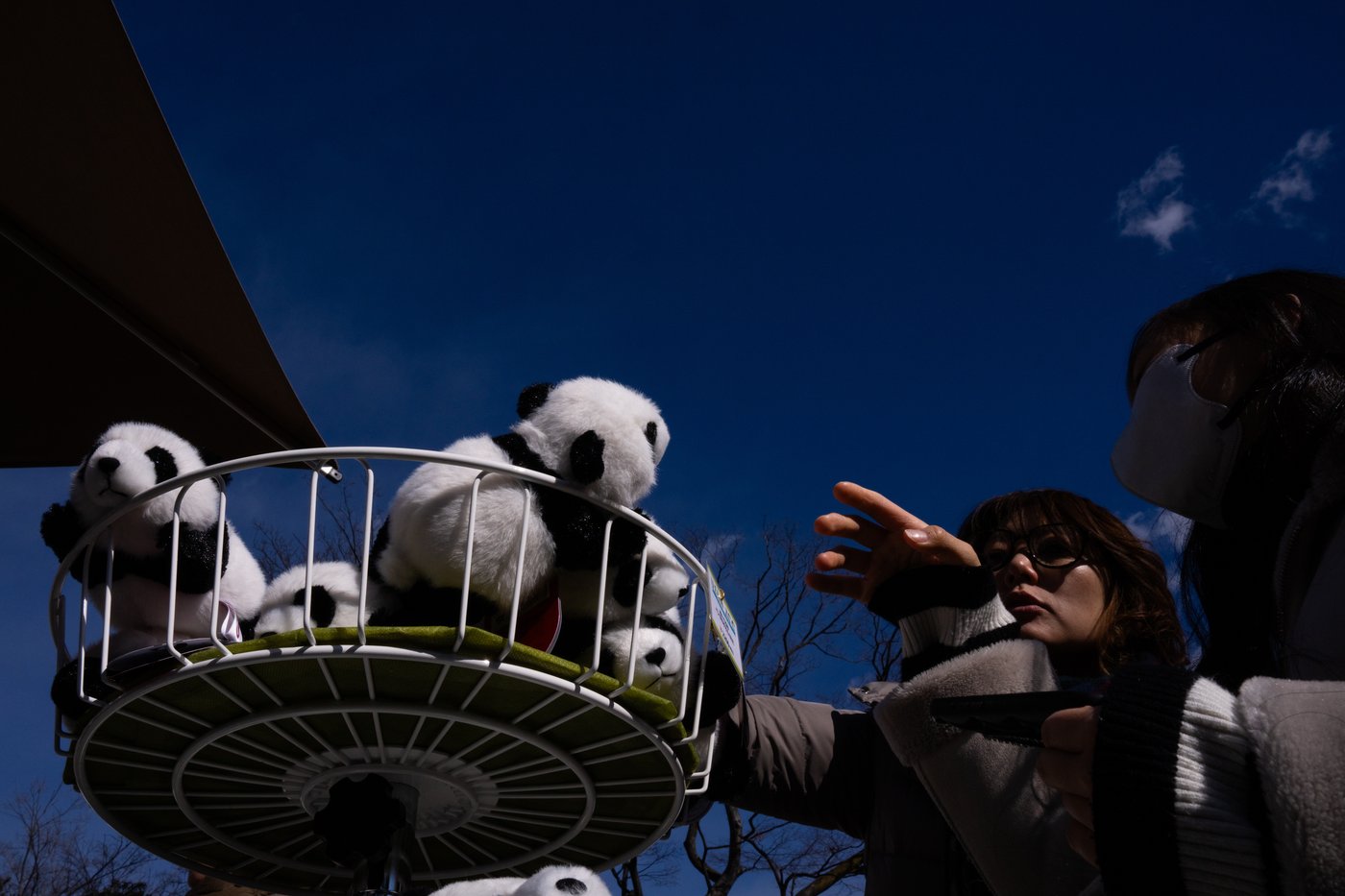 Photos shows Japan's love of pandas as twins Xiao Xiao and Lei Lei return to China | iNFOnews.ca